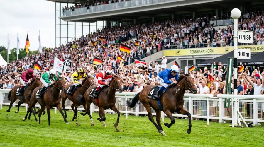 Zielgerade beim Deutschen Derby in Hamburg-Horn mit Vollblütern im Endkampf und voll besetzter Tribüne